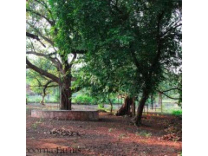 A2zroomz Annapoorna Farms Villa 6Bhk Khopoli Kültér fotó